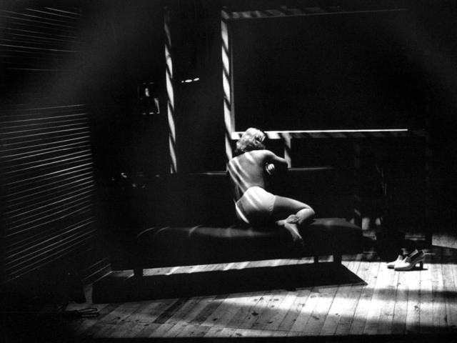 Susn © Susana Paiva